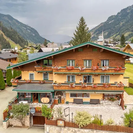 Montana Hotel 3*