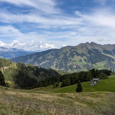 Ξενοδοχείο Montana 3*